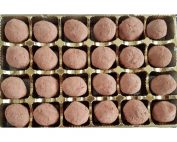 Chocolate Truffles1