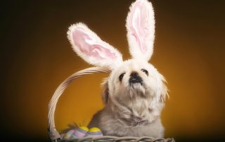 Gift basket for Easter